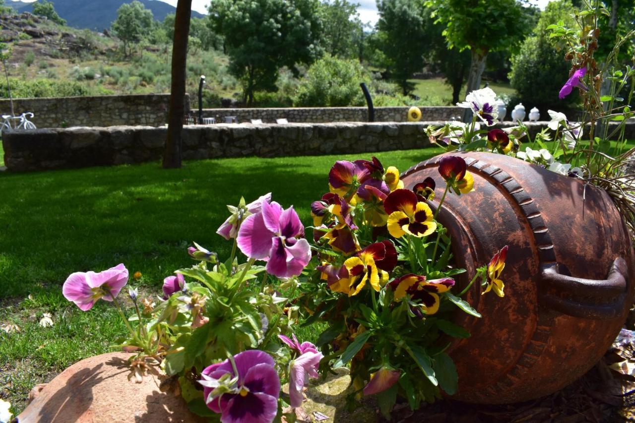 Hotel Rural A Velha Fabrica Valverde del Fresno Dış mekan fotoğraf